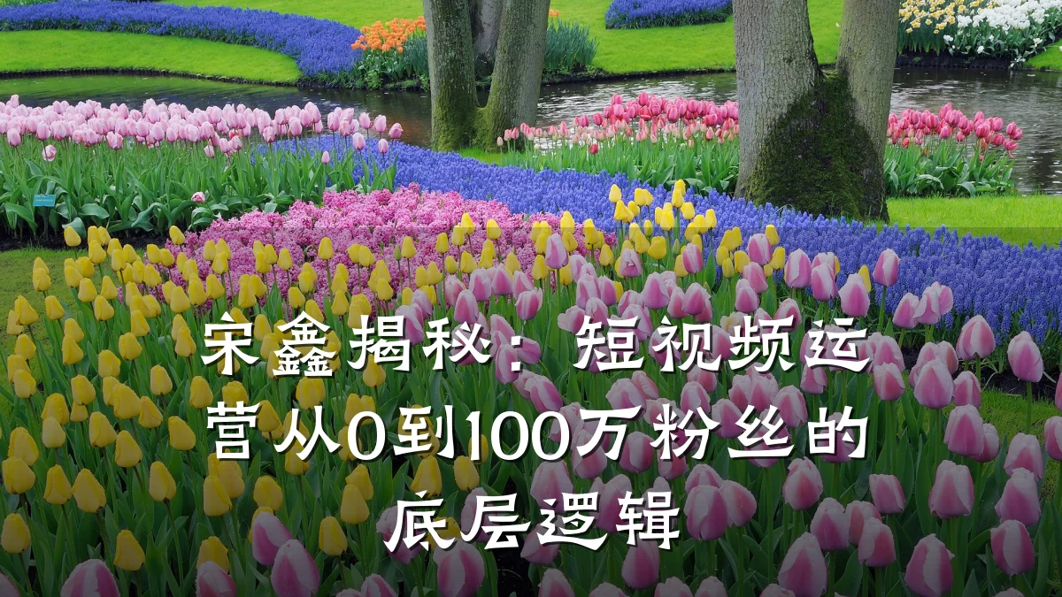 宋鑫揭秘:短视频运营从0到100万粉丝的底层逻辑