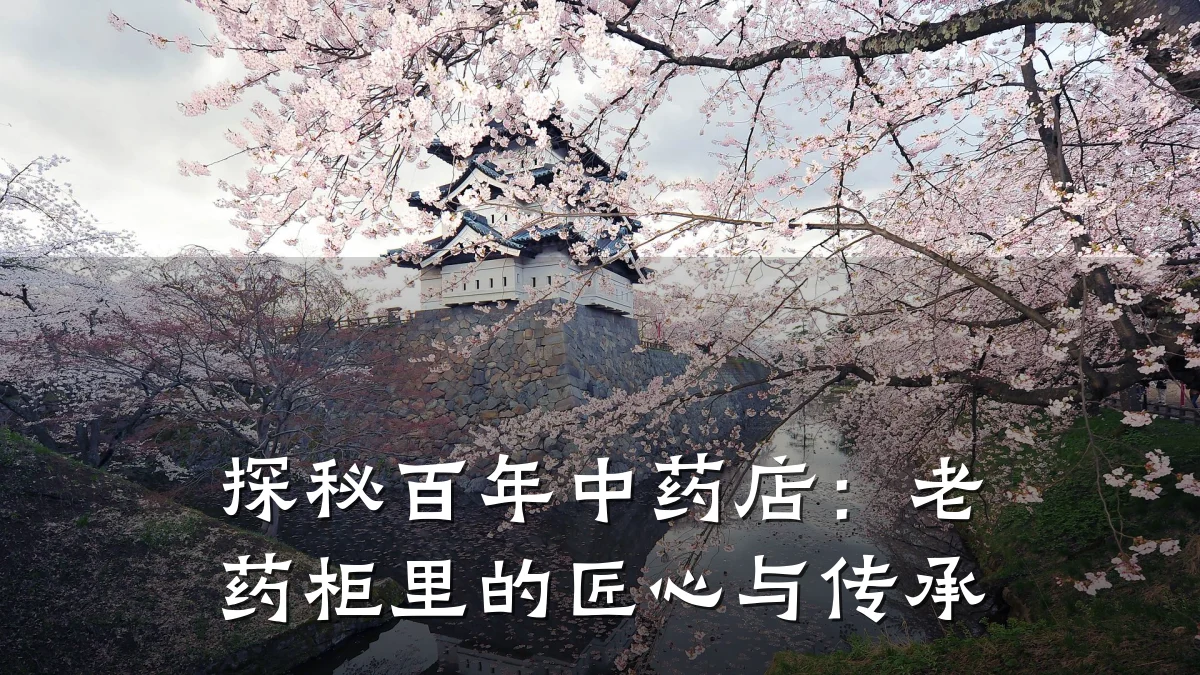 探秘百年中药店:老药柜里的匠心与传承