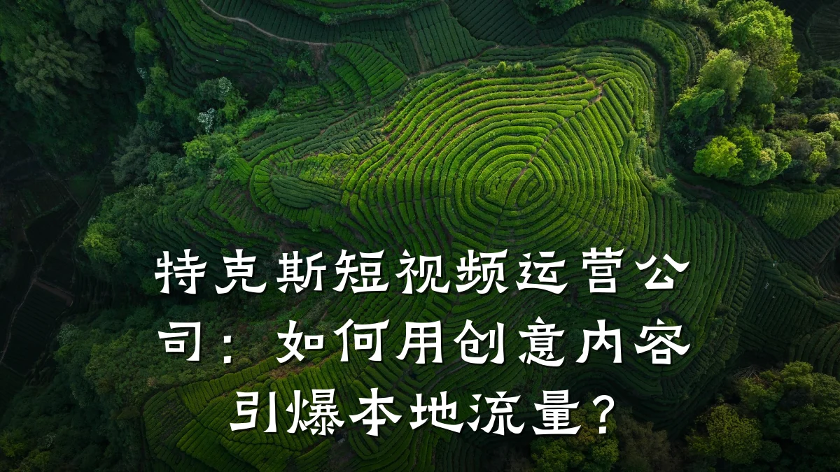 特克斯短视频运营公司:如何用创意内容引爆本地流量?