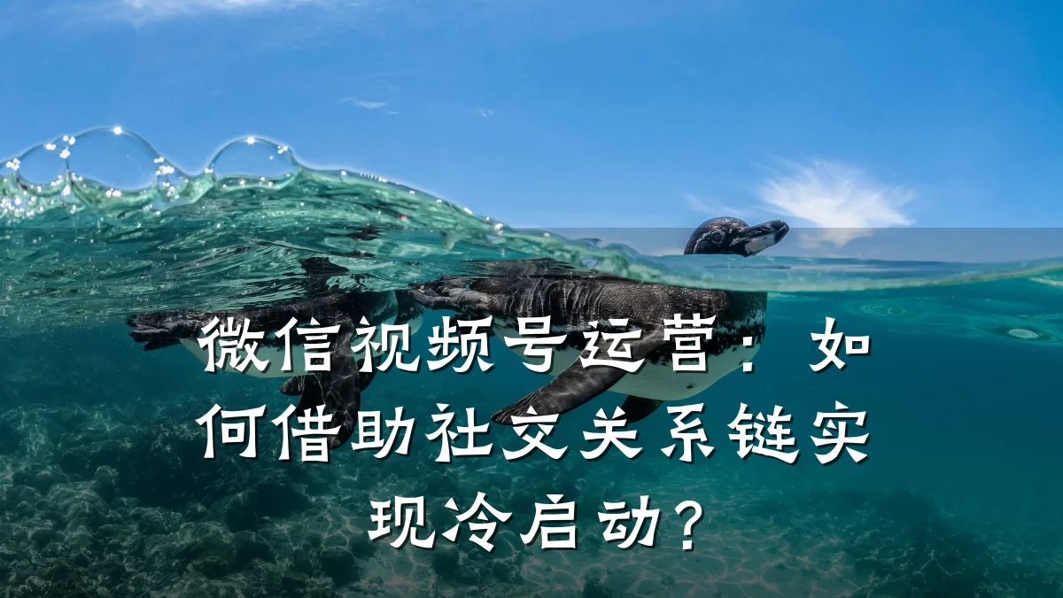 微信视频号运营：如何借助社交关系链实现冷启动？