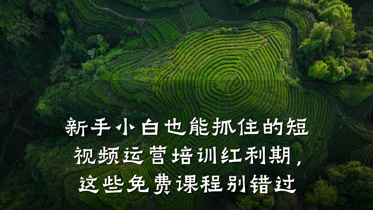 新手小白也能抓住的短视频运营培训红利期,这些免费课程别错过