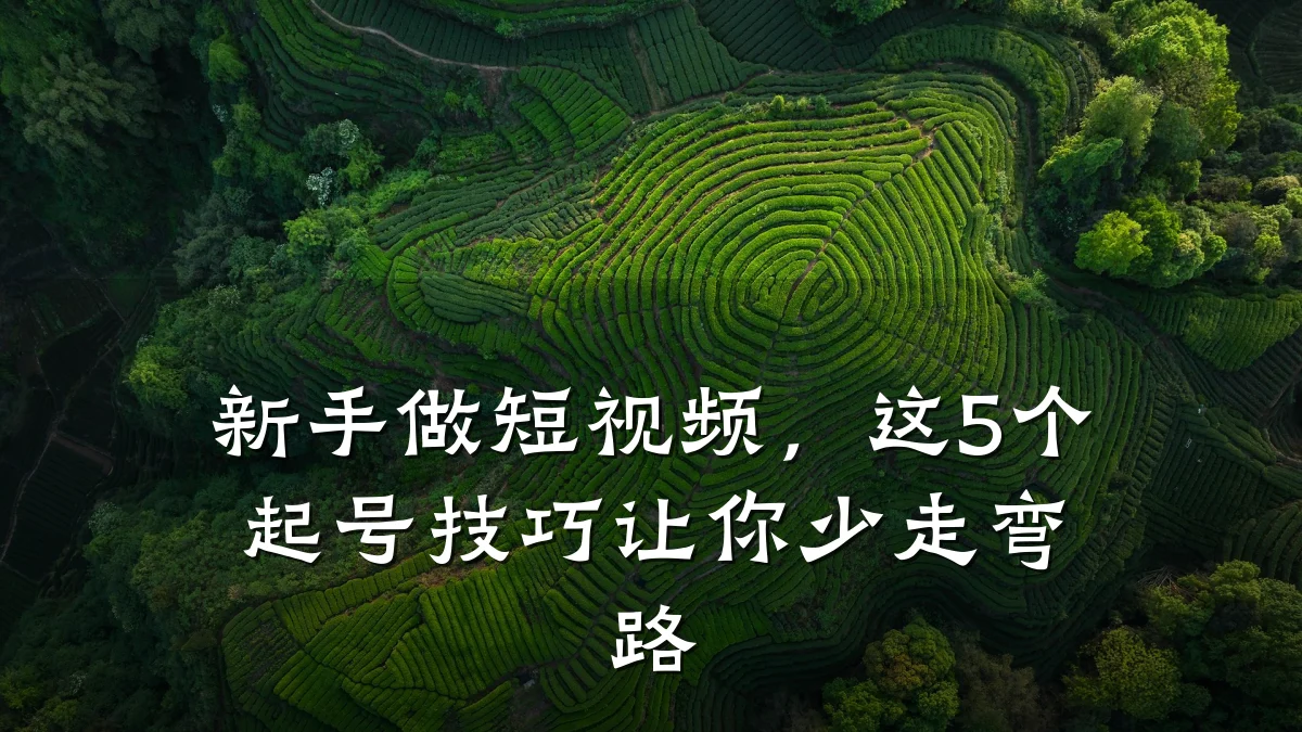 新手做短视频,这5个起号技巧让你少走弯路