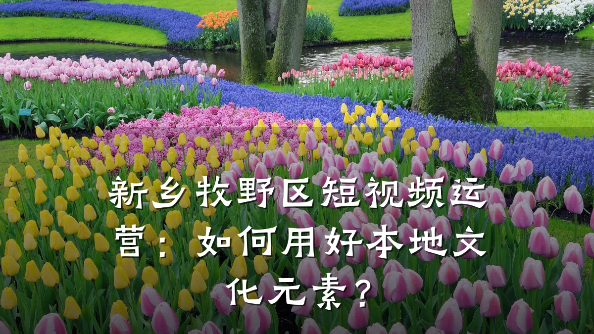 新乡牧野区短视频运营:如何用好本地文化元素?