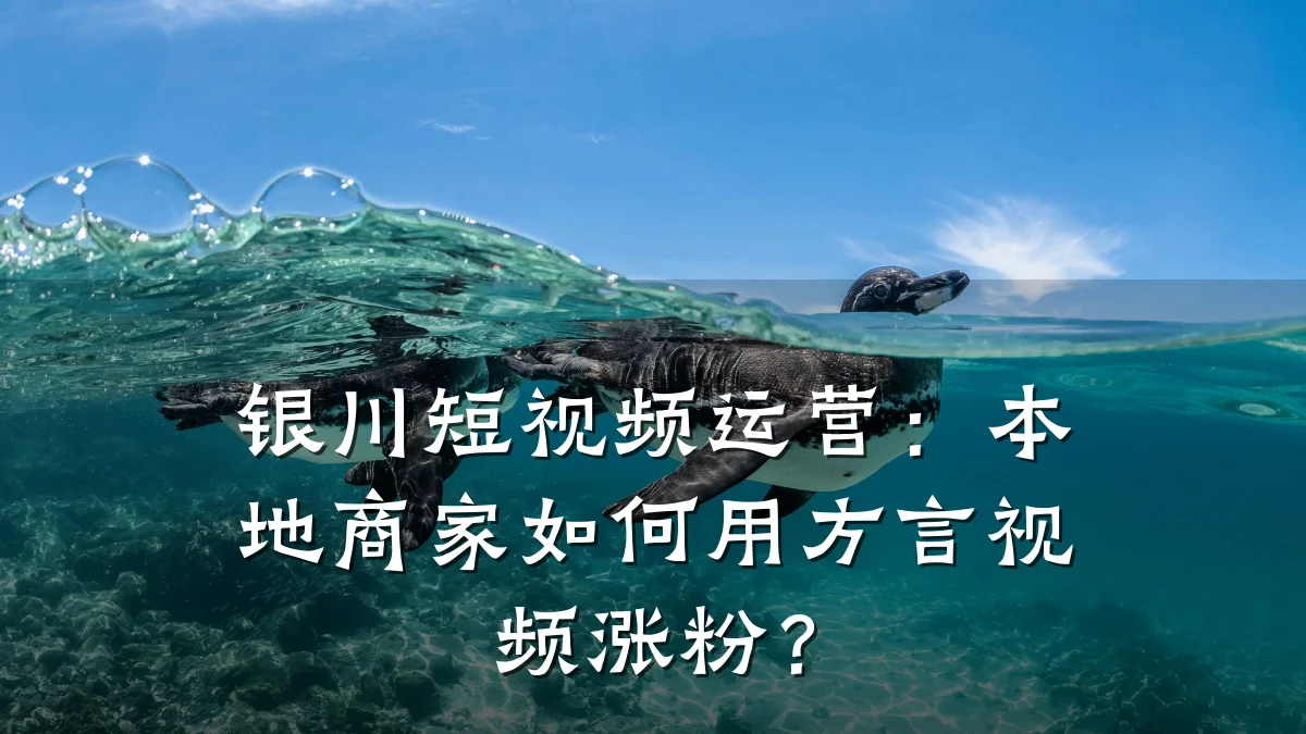 银川短视频运营:本地商家如何用方言视频涨粉?