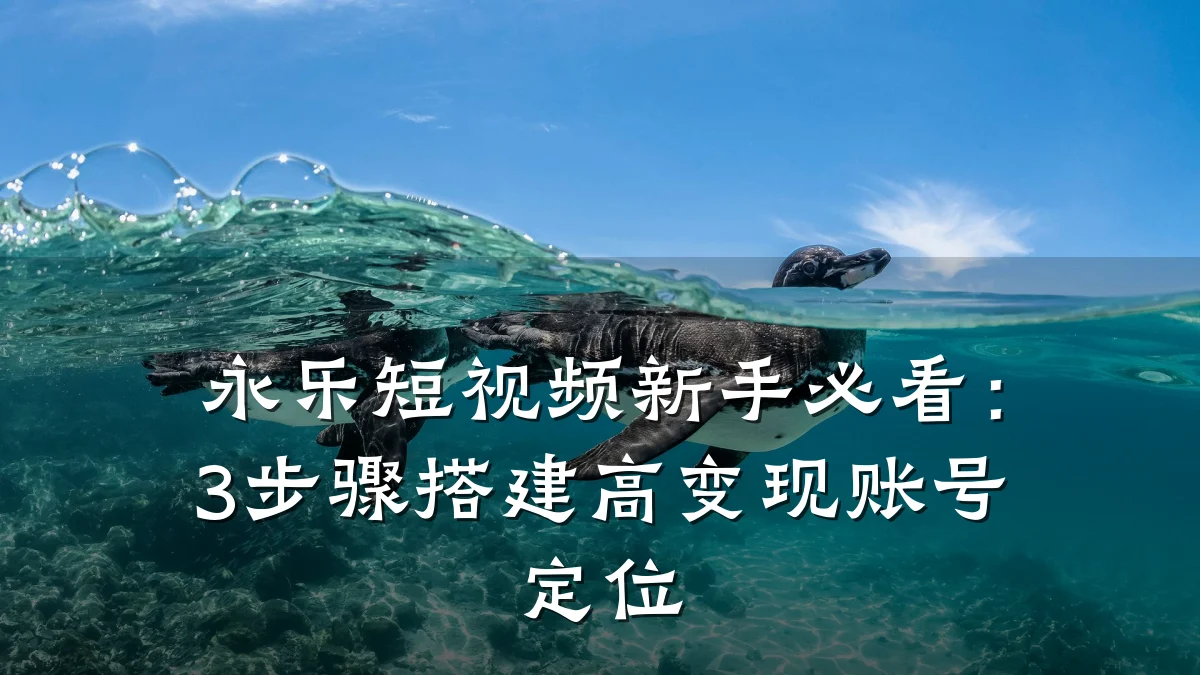 永乐短视频新手必看：3步骤搭建高变现账号定位