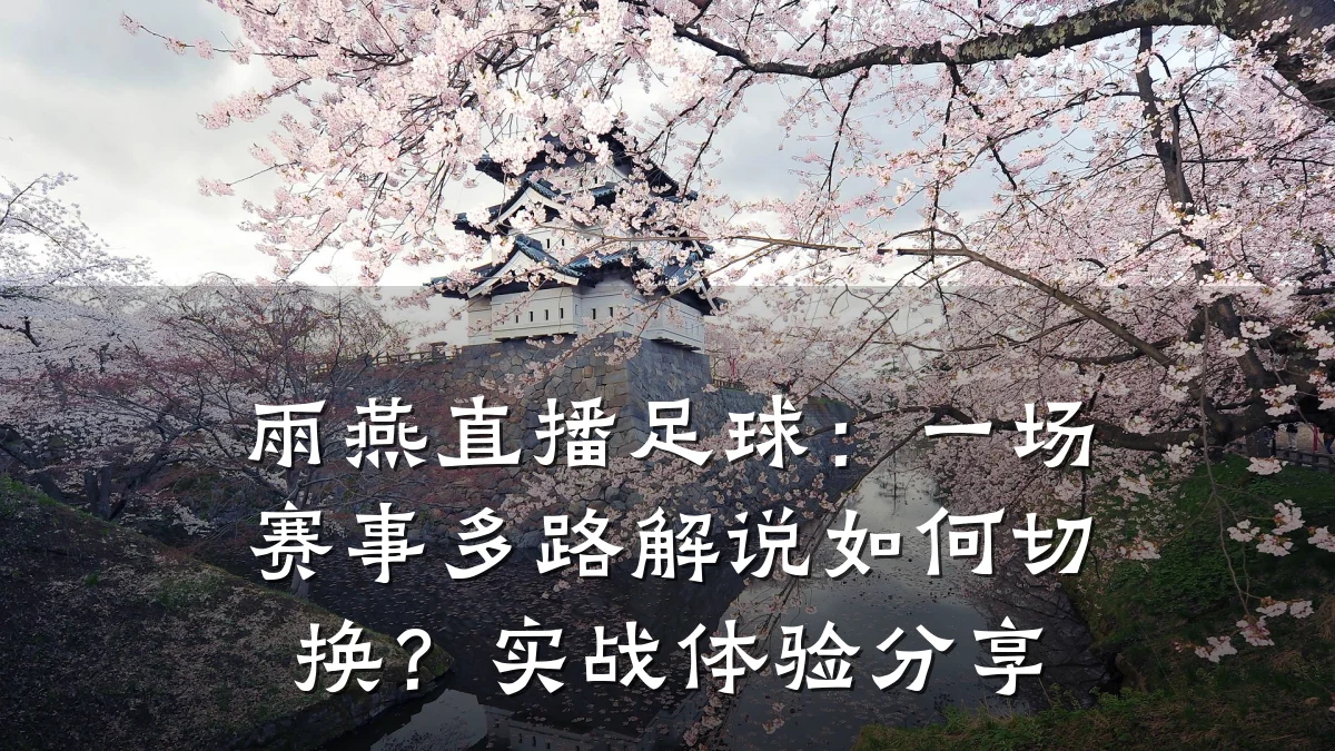 雨燕直播足球:一场赛事多路解说如何切换?实战体验分享