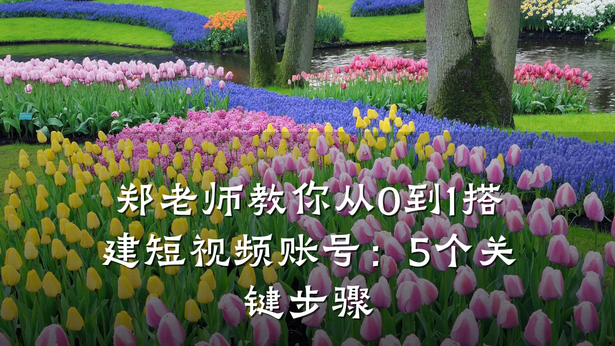 郑老师教你从0到1搭建短视频账号:5个关键步骤