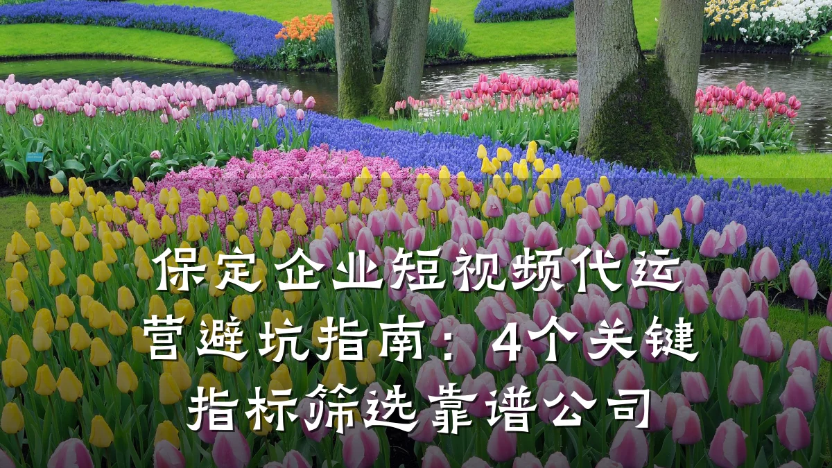 保定企业短视频代运营避坑指南：4个关键指标筛选靠谱公司