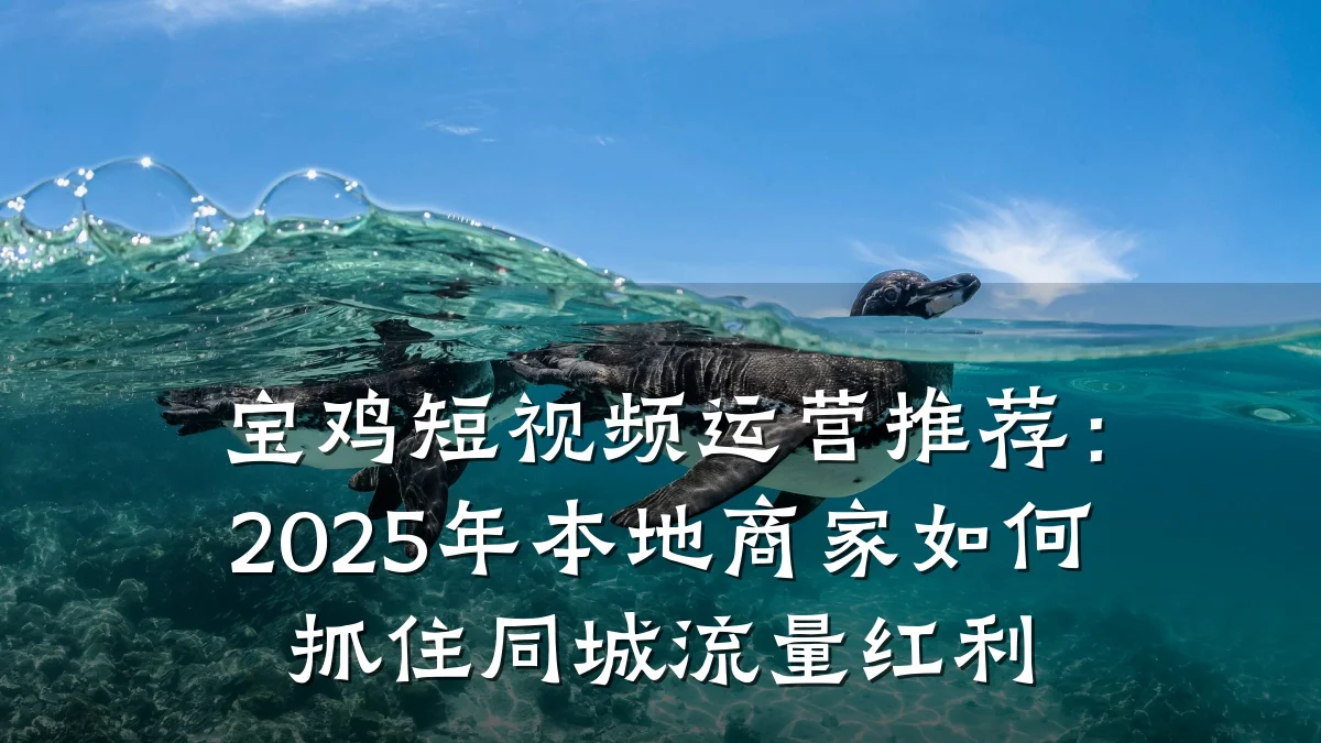 宝鸡短视频运营推荐:2025年本地商家如何抓住同城流量红利