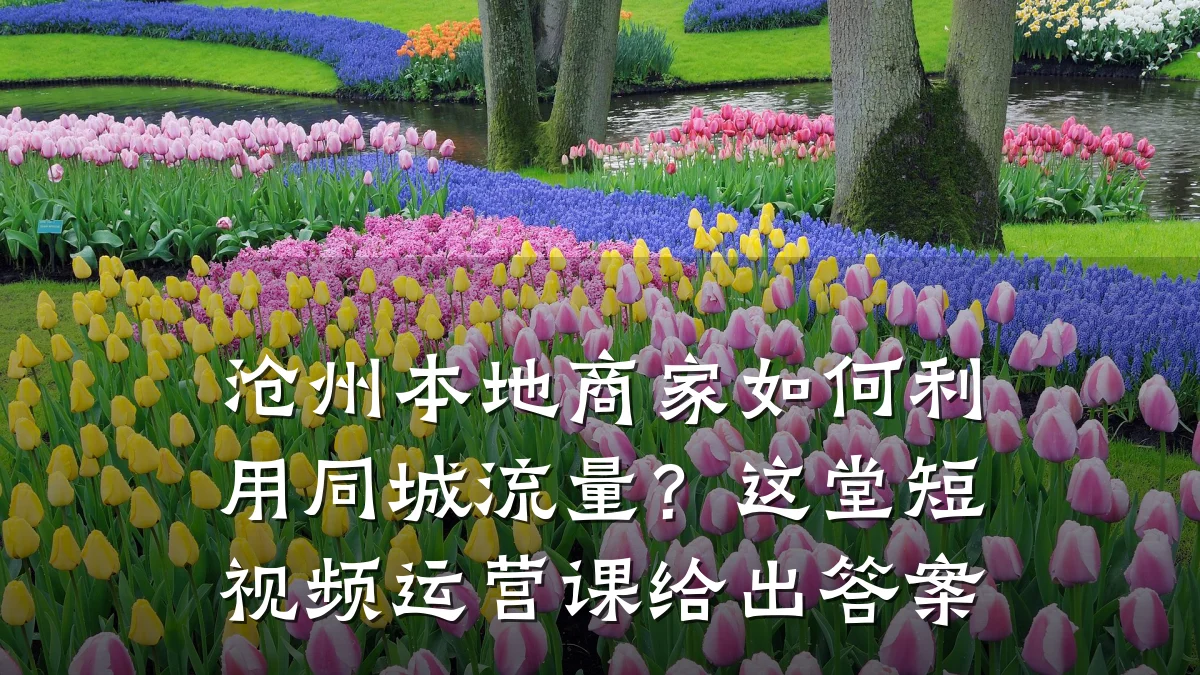 沧州本地商家如何利用同城流量?这堂短视频运营课给出答案