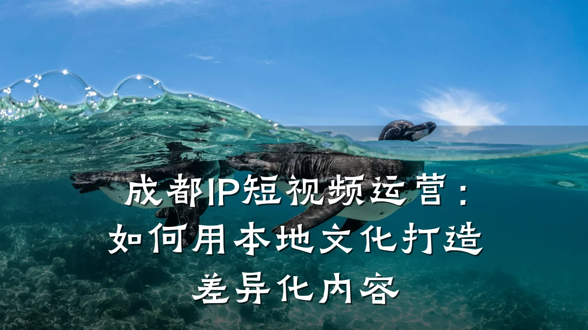 成都IP短视频运营:如何用本地文化打造差异化内容