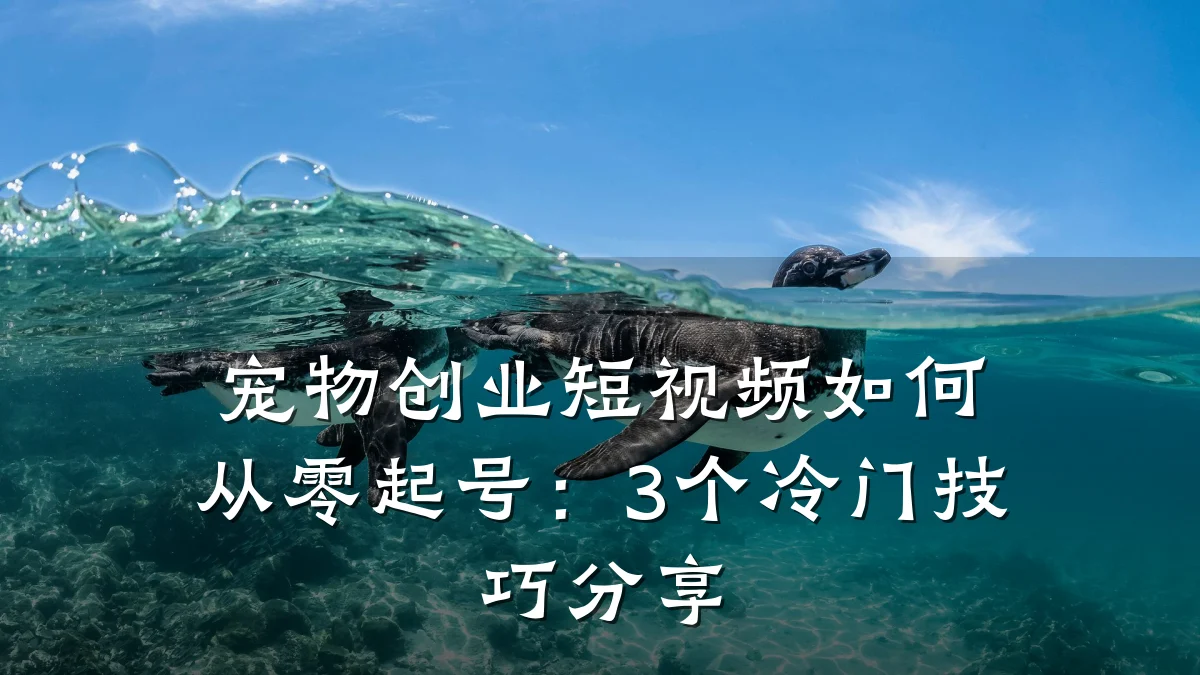 宠物创业短视频如何从零起号:3个冷门技巧分享
