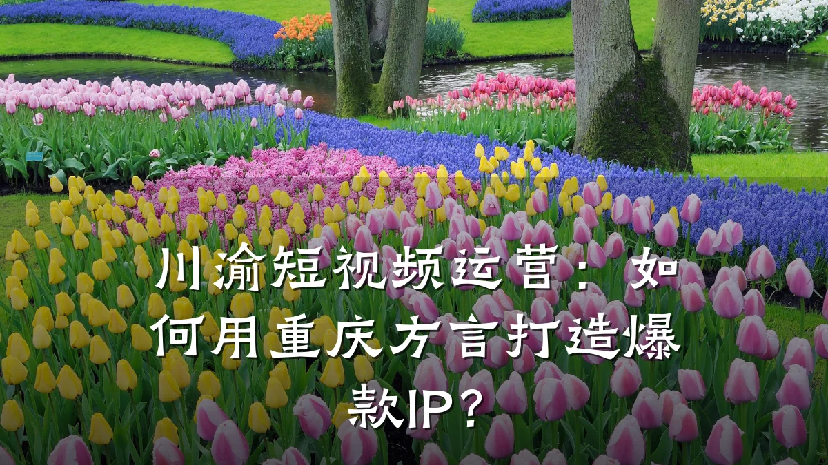 川渝短视频运营:如何用重庆方言打造爆款IP?