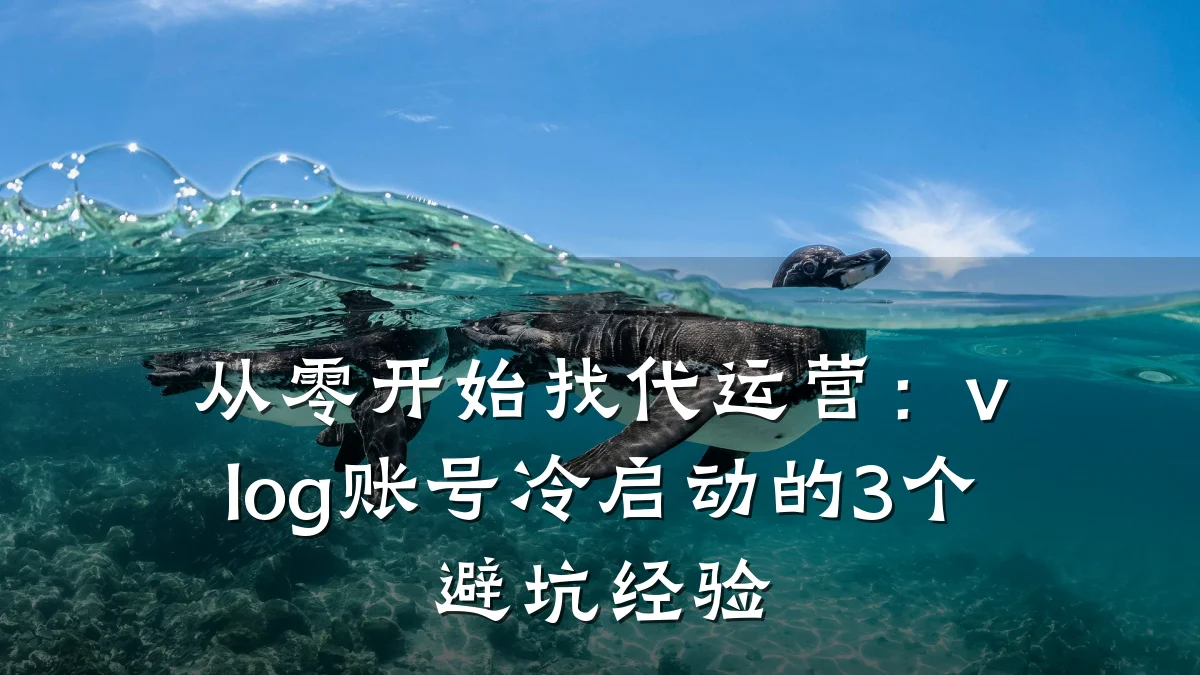 从零开始找代运营：vlog账号冷启动的3个避坑经验