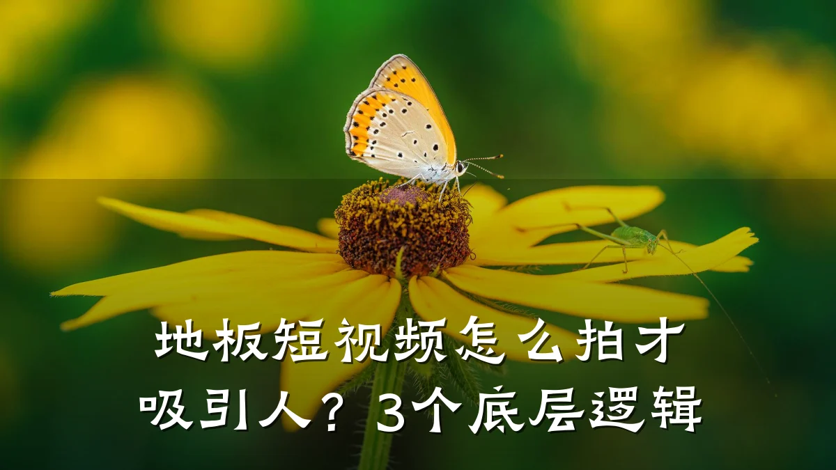地板短视频怎么拍才吸引人？3个底层逻辑