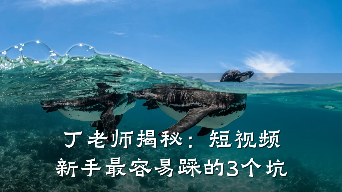 丁老师揭秘:短视频新手最容易踩的3个坑