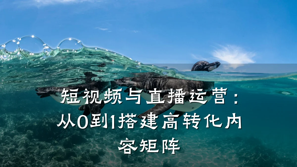 短视频与直播运营:从0到1搭建高转化内容矩阵