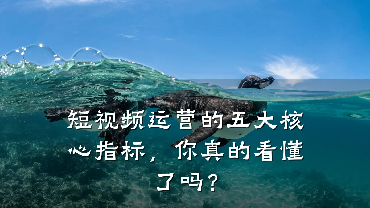 短视频运营的五大核心指标,你真的看懂了吗?