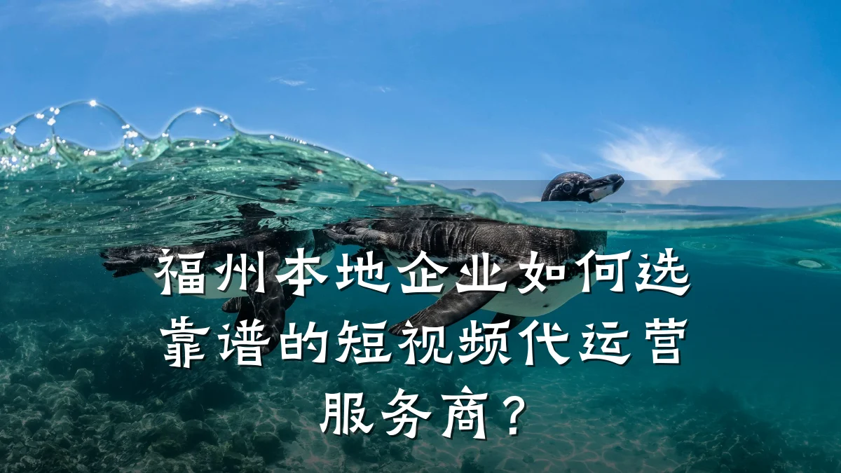 福州本地企业如何选靠谱的短视频代运营服务商？