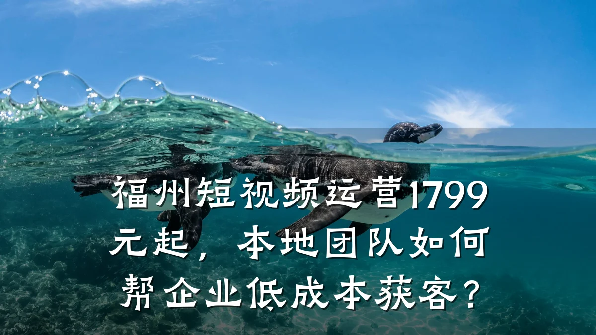 福州短视频运营1799元起，本地团队如何帮企业低成本获客？