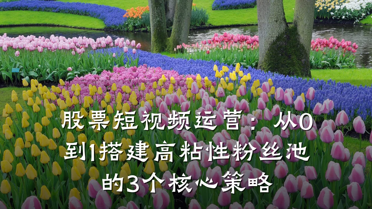 股票短视频运营:从0到1搭建高粘性粉丝池的3个核心策略