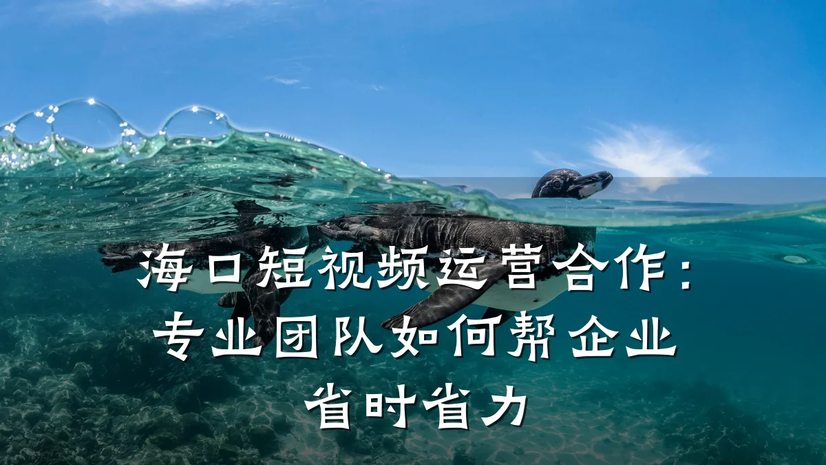 海口短视频运营合作:专业团队如何帮企业省时省力