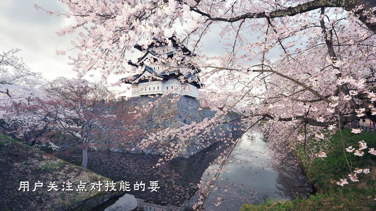 用户关注点对技能的要
