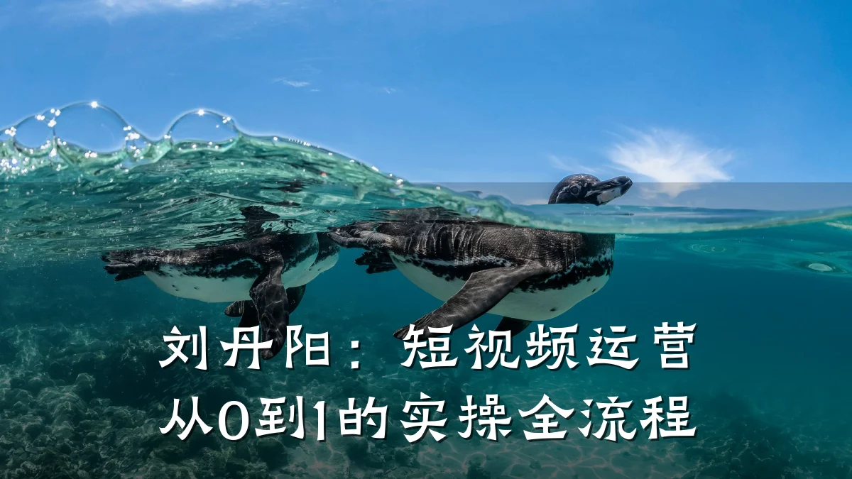 刘丹阳:短视频运营从0到1的实操全流程