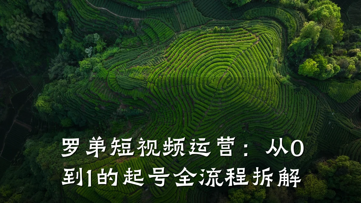 罗弟短视频运营:从0到1的起号全流程拆解