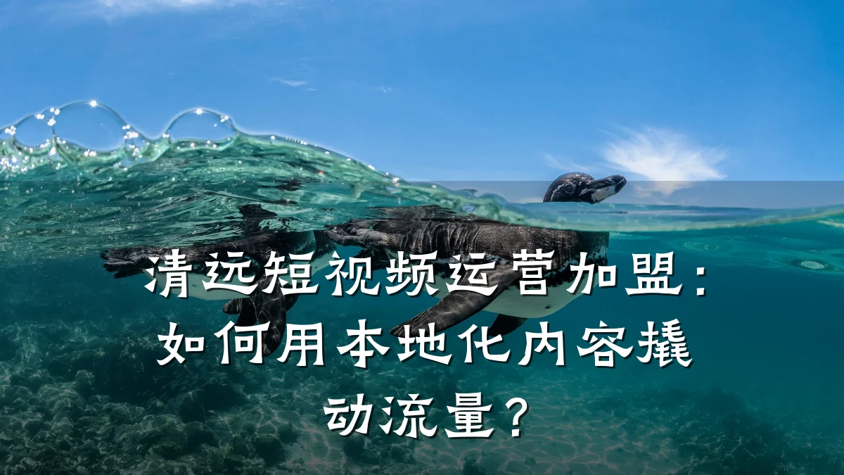 清远短视频运营加盟:如何用本地化内容撬动流量?