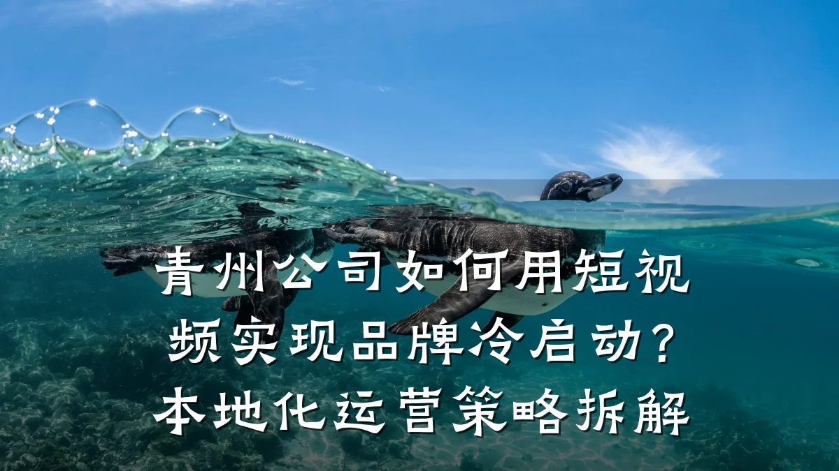 青州公司如何用短视频实现品牌冷启动?本地化运营策略拆解