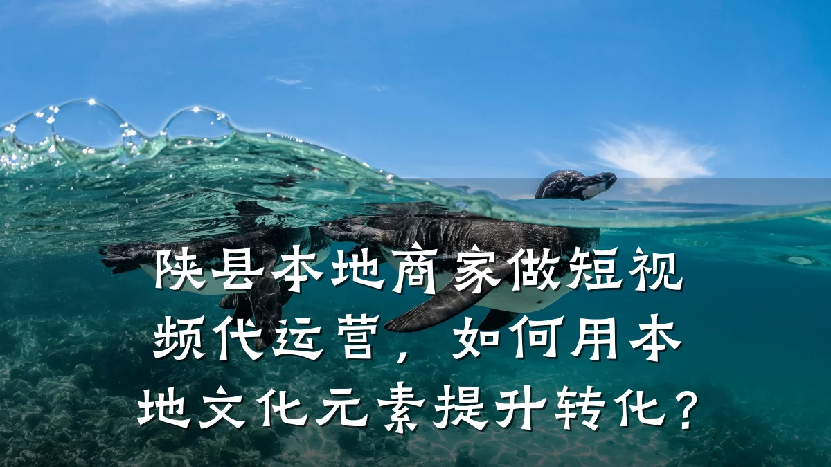 陕县本地商家做短视频代运营,如何用本地文化元素提升转化?