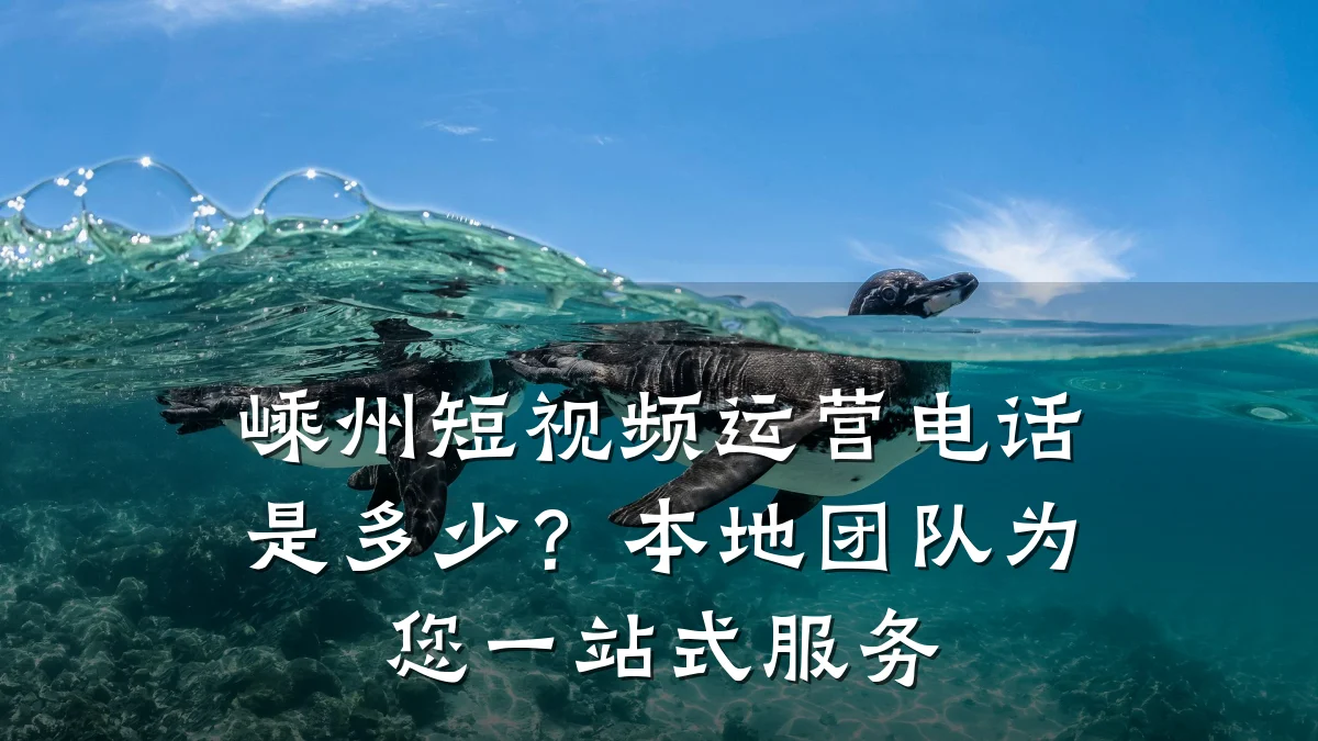 嵊州短视频运营电话是多少?本地团队为您一站式服务