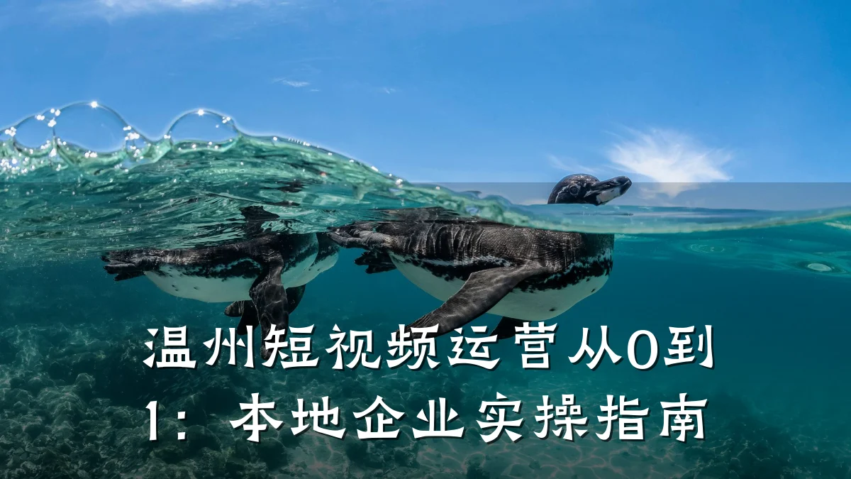 温州短视频运营从0到1:本地企业实操指南