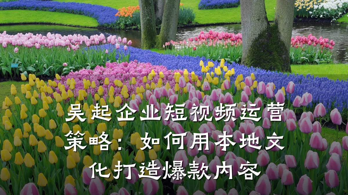 吴起企业短视频运营策略：如何用本地文化打造爆款内容