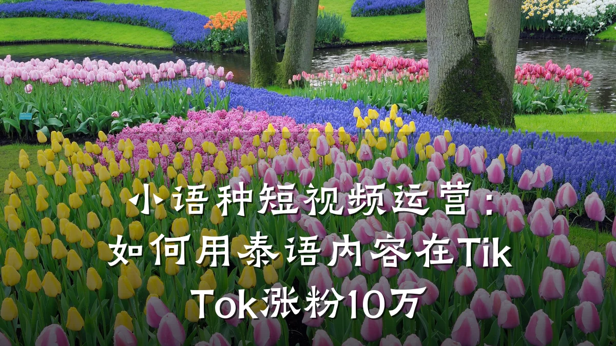 小语种短视频运营:如何用泰语内容在TikTok涨粉10万
