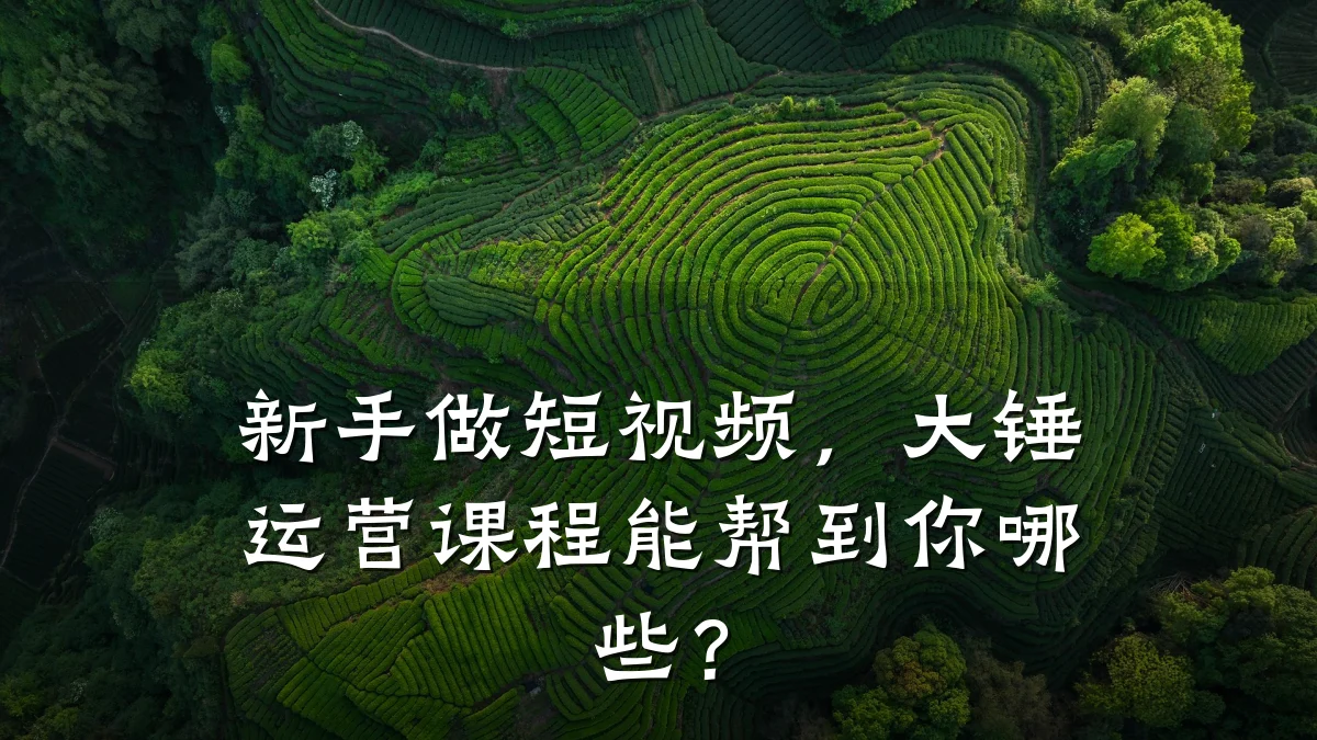 新手做短视频,大锤运营课程能帮到你哪些?