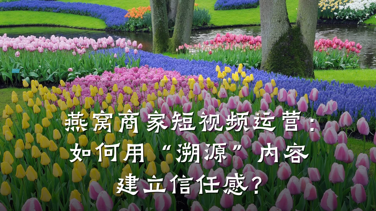 燕窝商家短视频运营：如何用“溯源”内容建立信任感？