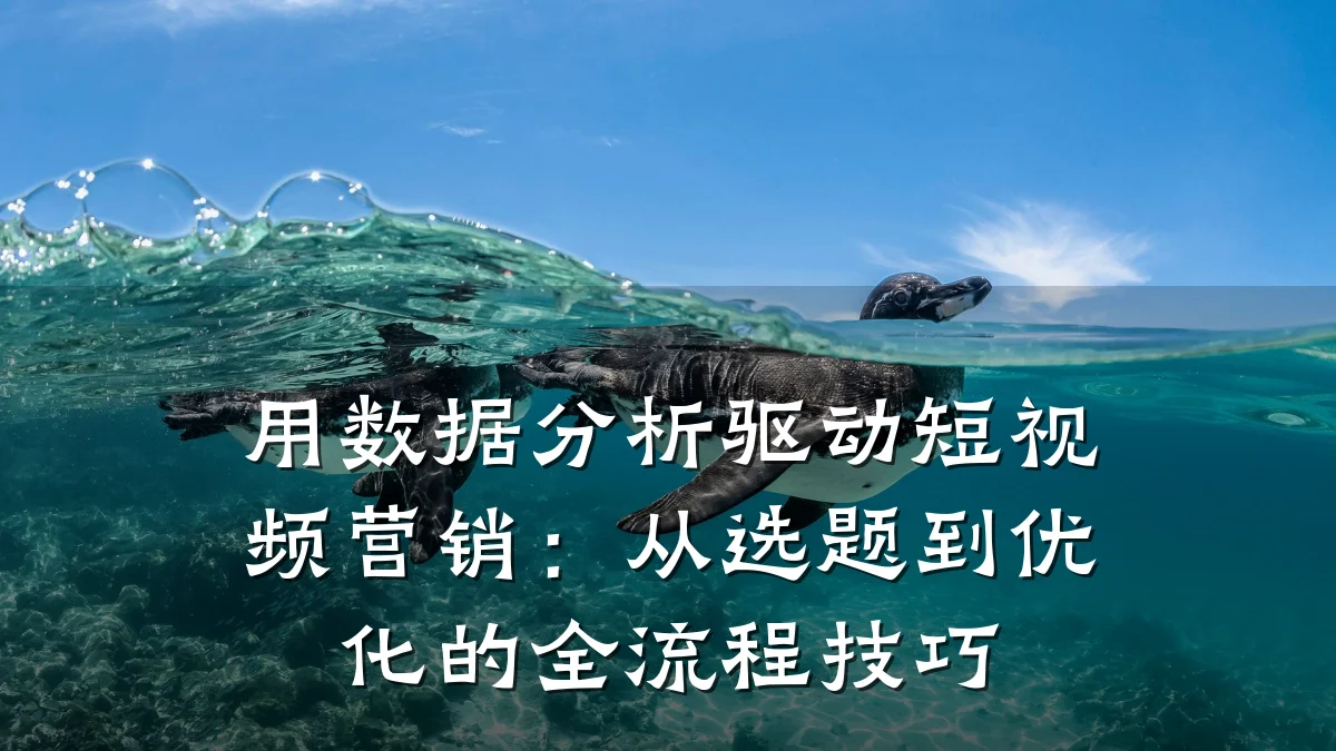 用数据分析驱动短视频营销:从选题到优化的全流程技巧