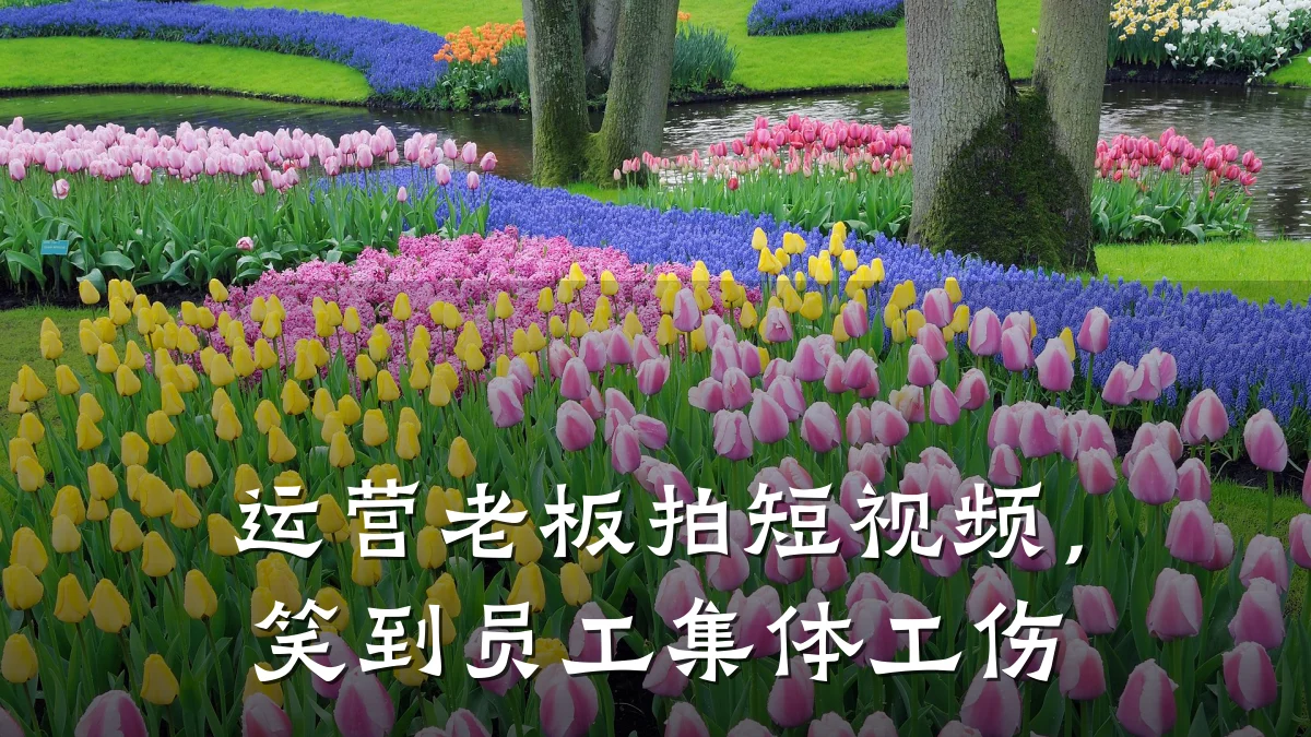 运营老板拍短视频，笑到员工集体工伤