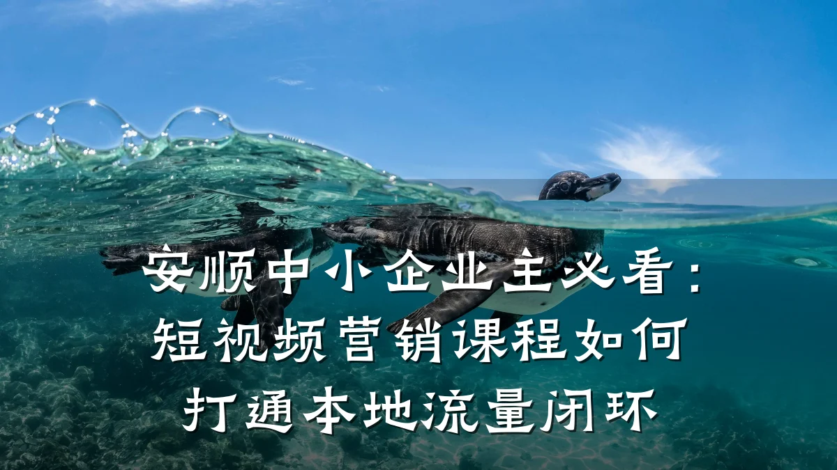 安顺中小企业主必看:短视频营销课程如何打通本地流量闭环