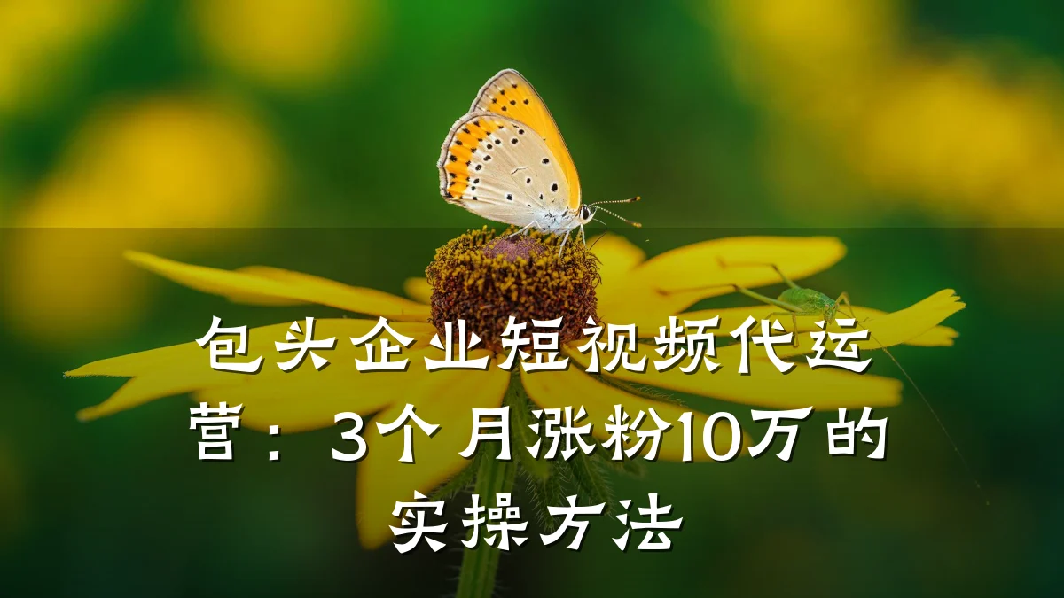 包头企业短视频代运营:3个月涨粉10万的实操方法