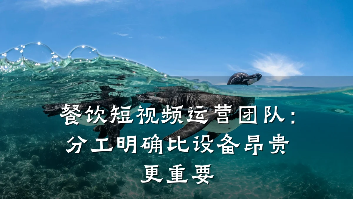 餐饮短视频运营团队:分工明确比设备昂贵更重要