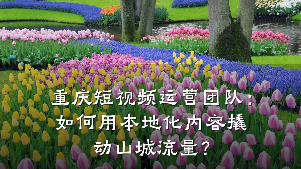 重庆短视频运营团队:如何用本地化内容撬动山城流量?