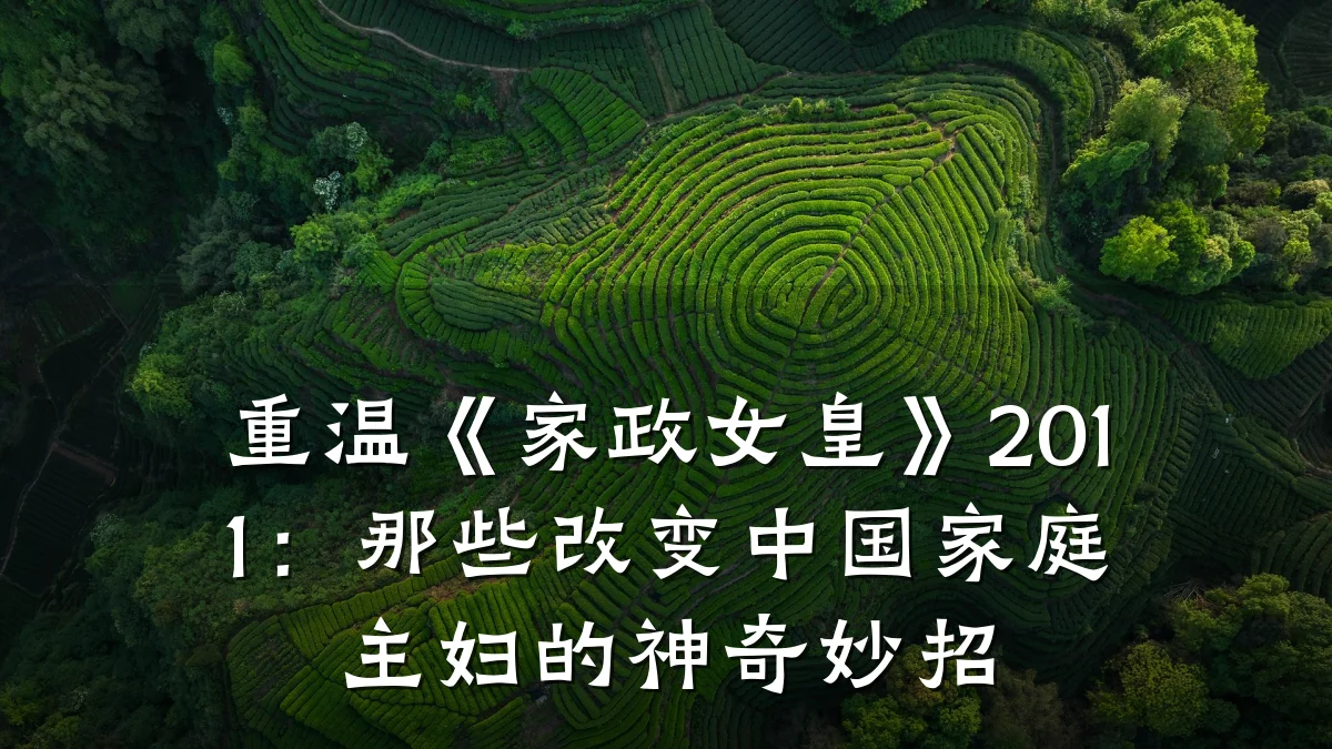 重温《家政女皇》2011:那些改变中国家庭主妇的神奇妙招