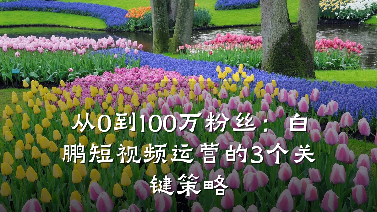从0到100万粉丝:白鹏短视频运营的3个关键策略