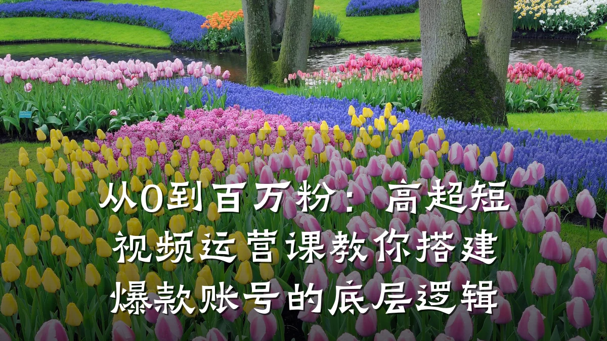 从0到百万粉:高超短视频运营课教你搭建爆款账号的底层逻辑