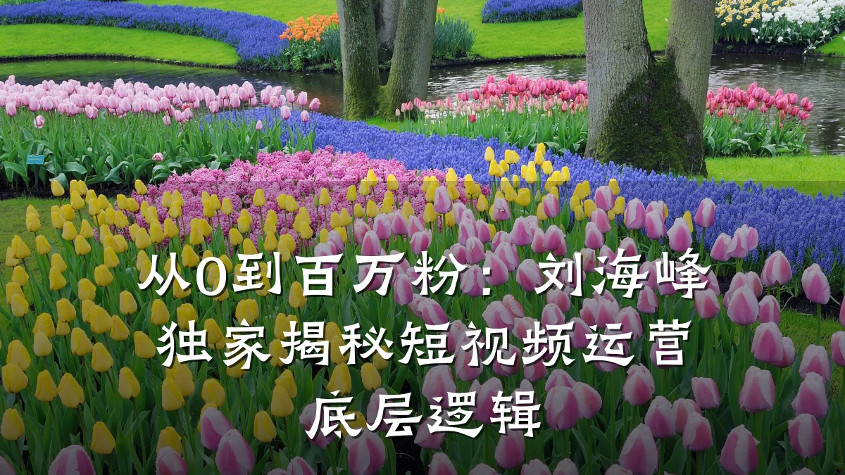 从0到百万粉:刘海峰独家揭秘短视频运营底层逻辑
