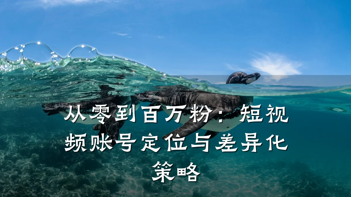 从零到百万粉：短视频账号定位与差异化策略