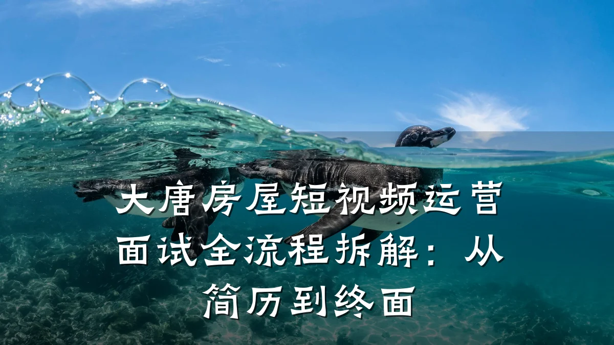 大唐房屋短视频运营面试全流程拆解:从简历到终面